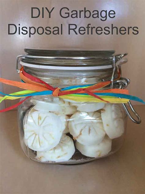 Diy Garbage Disposition Refreshers